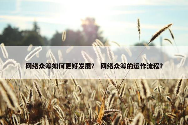 网络众筹如何更好发展？ 网络众筹的运作流程？