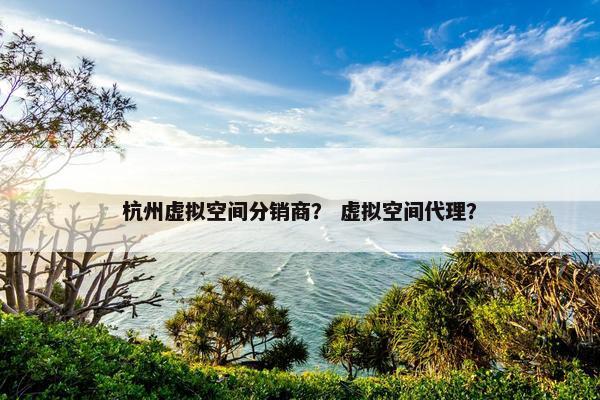 杭州虚拟空间分销商？ 虚拟空间代理？