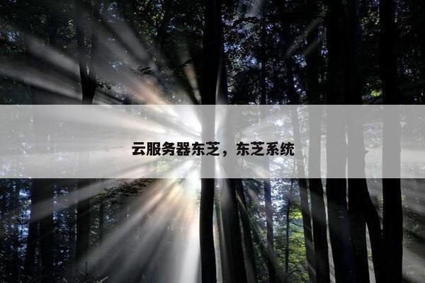 云服务器东芝，东芝系统
