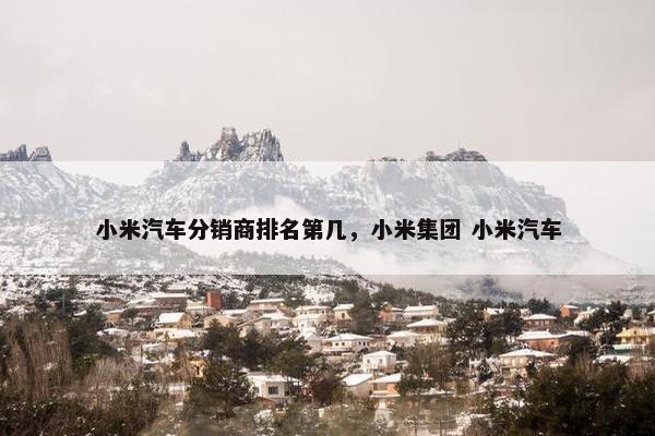 小米汽车分销商排名第几，小米集团 小米汽车