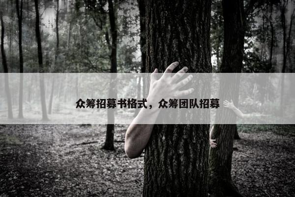 众筹招募书格式，众筹团队招募