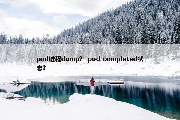 pod进程dump？ pod completed状态？