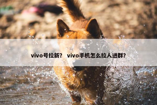 vivo号拉新？ vivo手机怎么拉人进群？