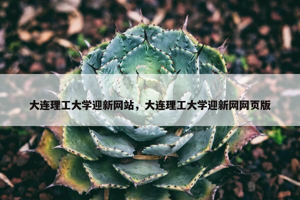 大连理工大学迎新网站，大连理工大学迎新网网页版