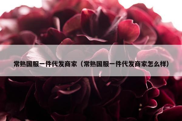 常熟国服一件代发商家（常熟国服一件代发商家怎么样）