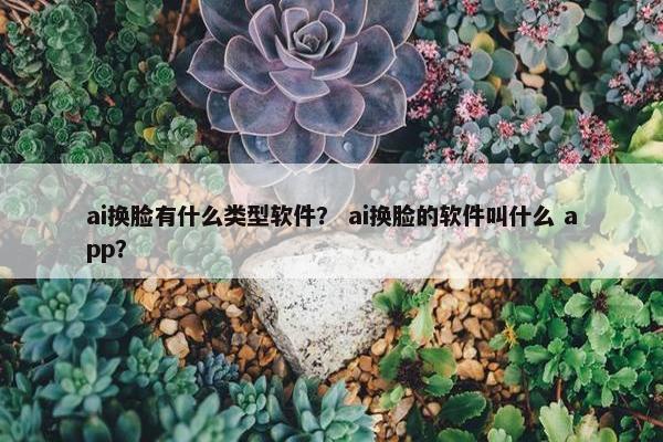 ai换脸有什么类型软件？ ai换脸的软件叫什么 app？