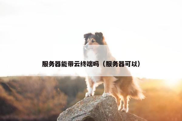 服务器能带云终端吗（服务器可以）