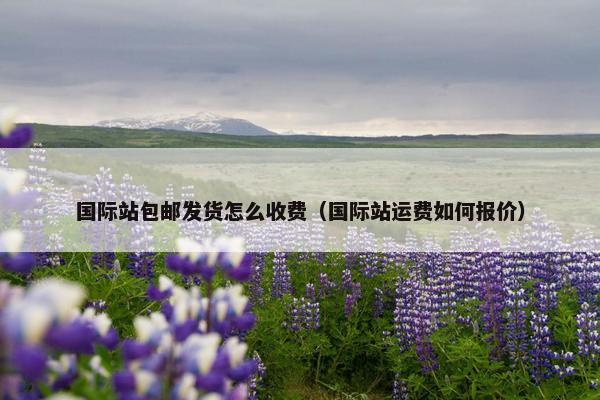 国际站包邮发货怎么收费（国际站运费如何报价）