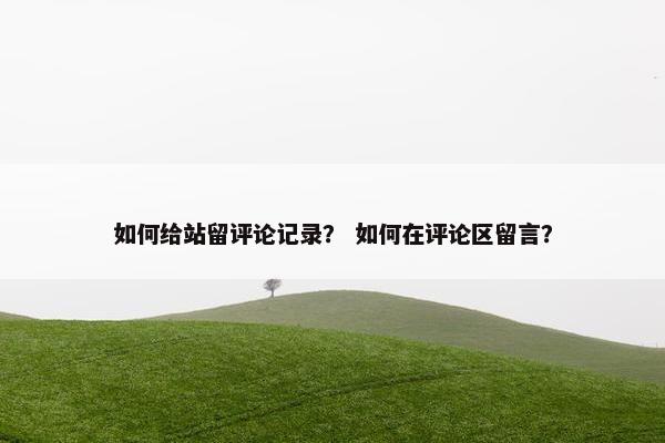 如何给站留评论记录？ 如何在评论区留言？