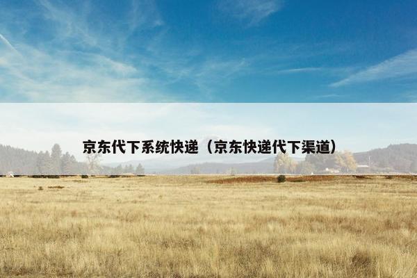 京东代下系统快递（京东快递代下渠道）