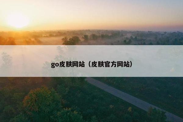 go皮肤网站（皮肤官方网站）