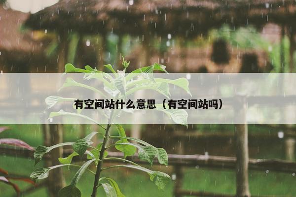 有空间站什么意思（有空间站吗）