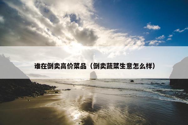 谁在倒卖高价菜品（倒卖蔬菜生意怎么样）