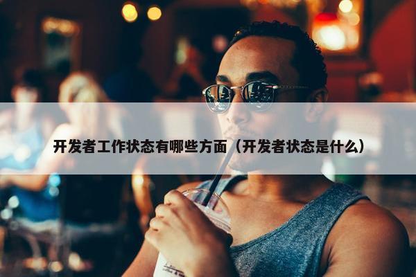 开发者工作状态有哪些方面（开发者状态是什么）