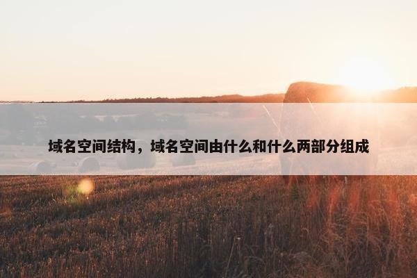 域名空间结构，域名空间由什么和什么两部分组成