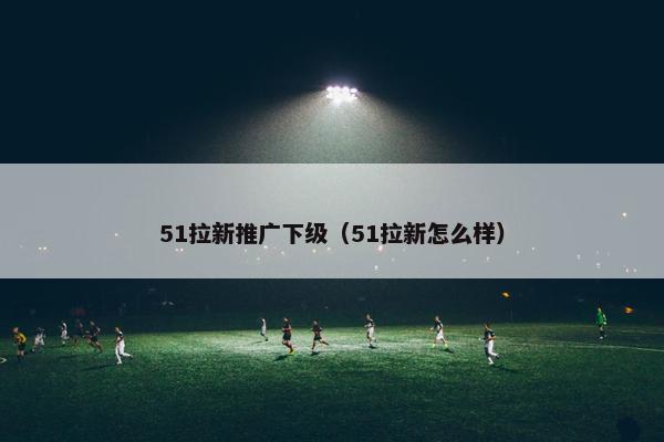 51拉新推广下级（51拉新怎么样）