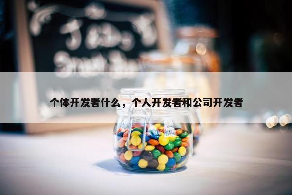 个体开发者什么，个人开发者和公司开发者