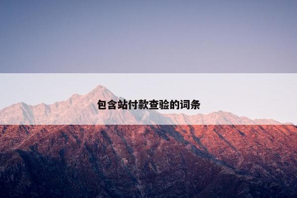 包含站付款查验的词条