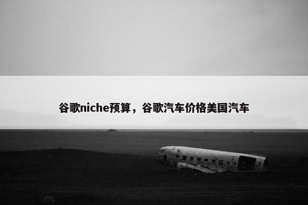 谷歌niche预算，谷歌汽车价格美国汽车