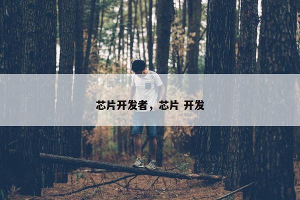 芯片开发者，芯片 开发
