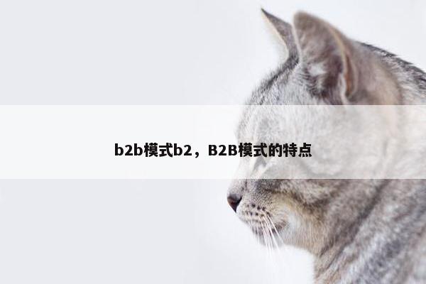 b2b模式b2，B2B模式的特点