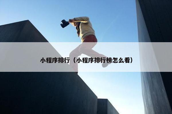 小程序排行（小程序排行榜怎么看）