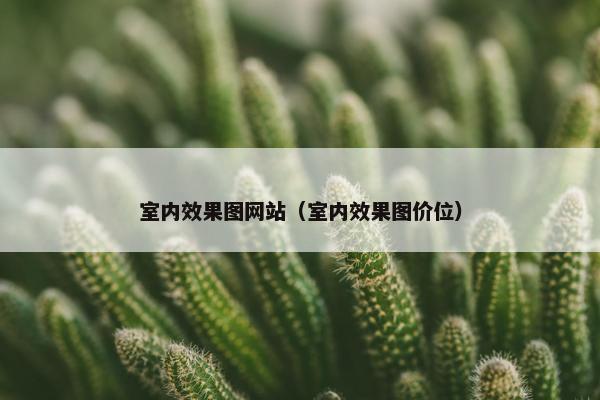 室内效果图网站（室内效果图价位）