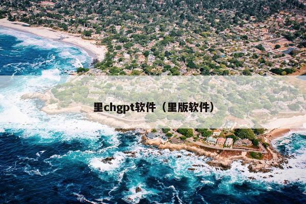 里chgpt软件（里版软件）