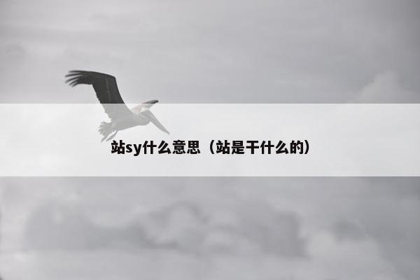 站sy什么意思（站是干什么的）