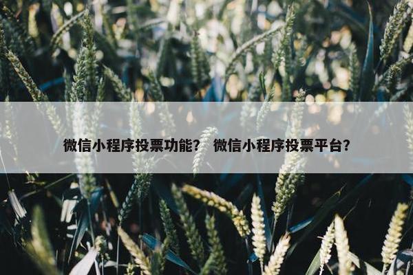 微信小程序投票功能？ 微信小程序投票平台？