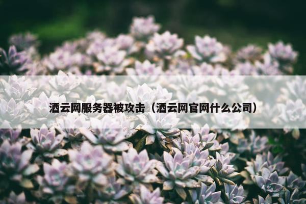 酒云网服务器被攻击（酒云网官网什么公司）