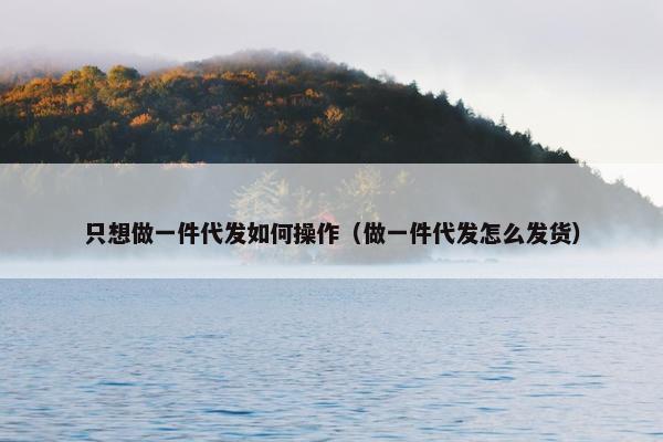只想做一件代发如何操作（做一件代发怎么发货）