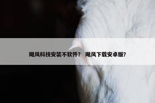 飓风科技安装不软件？ 飓风下载安卓版？