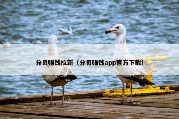 分贝赚钱拉新（分贝赚钱app官方下载）