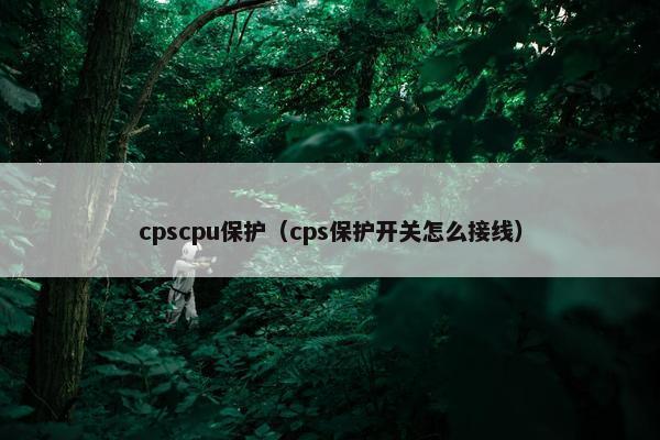 cpscpu保护（cps保护开关怎么接线）