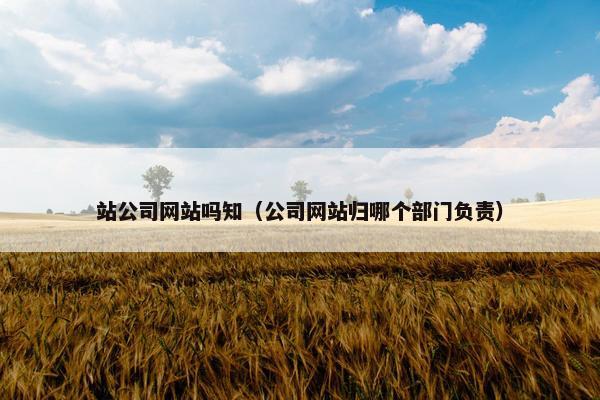 站公司网站吗知（公司网站归哪个部门负责）