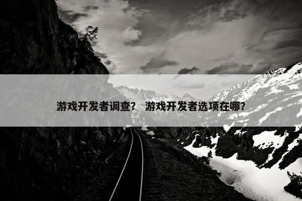 游戏开发者调查? 游戏开发者选项在哪?