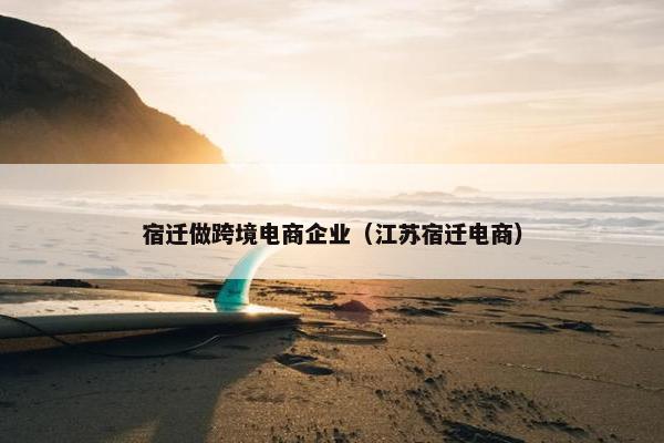 宿迁做跨境电商企业（江苏宿迁电商）