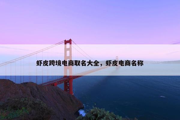 虾皮跨境电商取名大全，虾皮电商名称