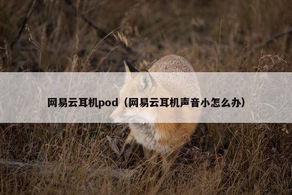 网易云耳机pod（网易云耳机声音小怎么办）
