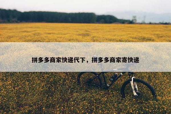 拼多多商家快递代下，拼多多商家寄快递