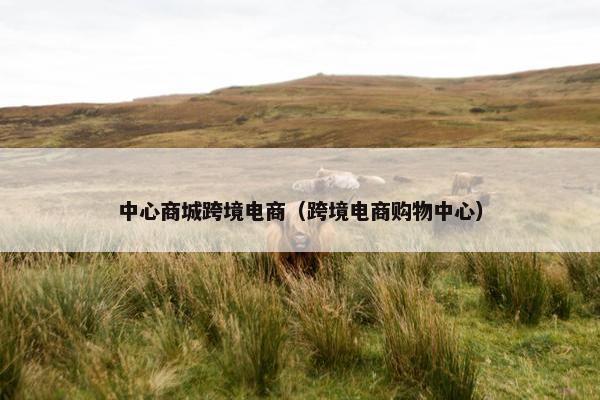 中心商城跨境电商（跨境电商购物中心）