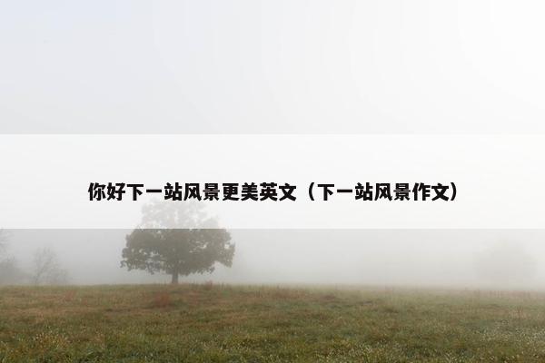 你好下一站风景更美英文（下一站风景作文）