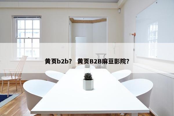 黄页b2b？ 黄页B2B麻豆影院？