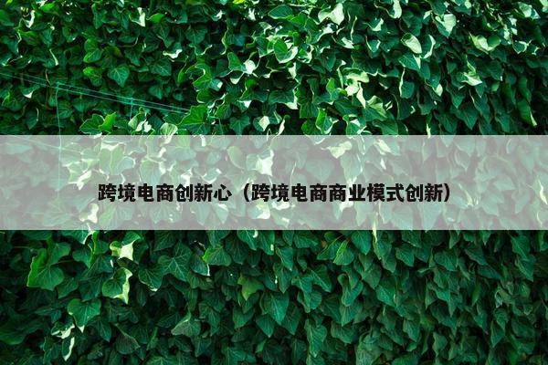 跨境电商创新心（跨境电商商业模式创新）