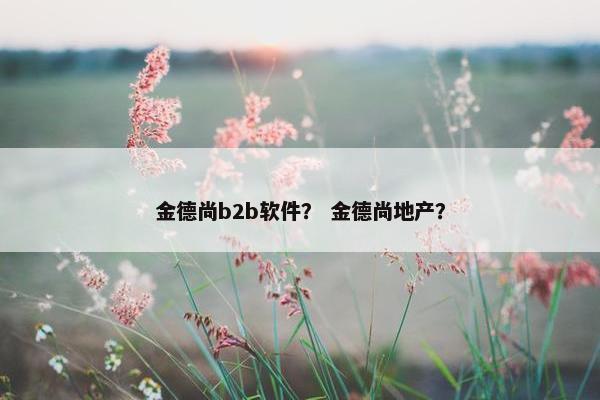 金德尚b2b软件？ 金德尚地产？