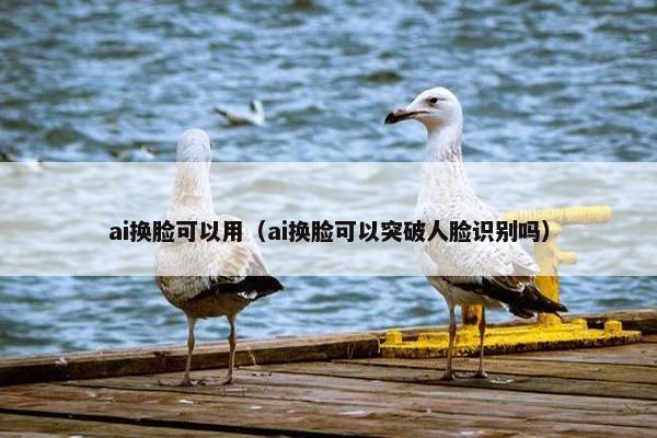 ai换脸可以用（ai换脸可以突破人脸识别吗）