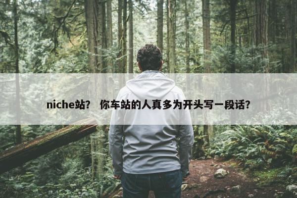 niche站？ 你车站的人真多为开头写一段话？
