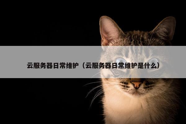 云服务器日常维护（云服务器日常维护是什么）