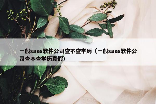 一般saas软件公司查不查学历（一般saas软件公司查不查学历真假）